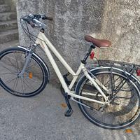 Bicicletta Regina