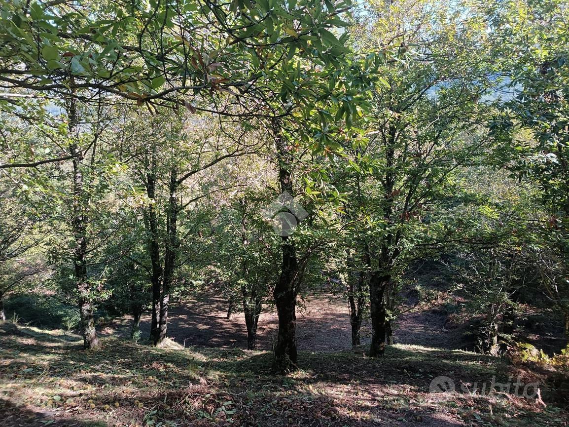 TER. AGRICOLO A SERINO - Vista 5