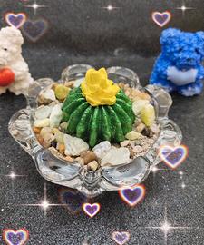 Cactus in gesso profumato 