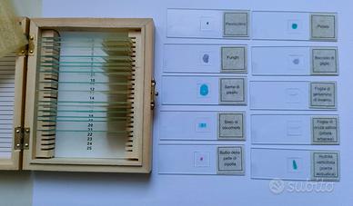 Botanica al microscopio