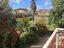 Immagine 14