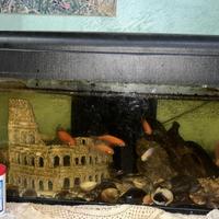 Mobili vari ed acquario completo