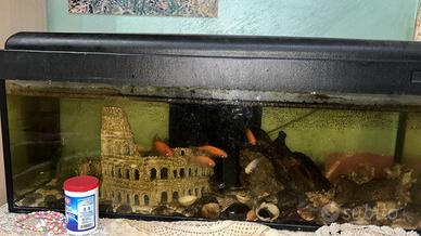 Mobili vari ed acquario completo