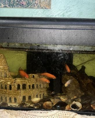 Mobili vari ed acquario completo