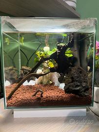 Acquario 30 L