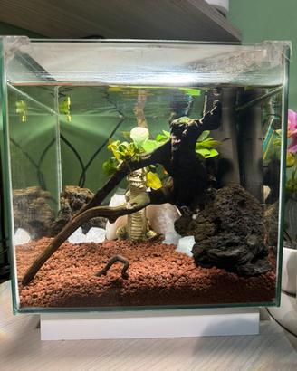 Acquario 30 L