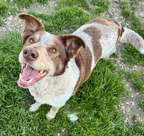 Kikka 4 anni Taglia media