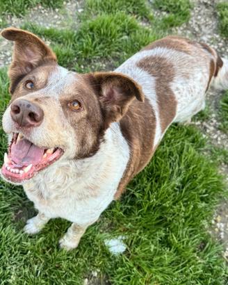 Kikka 4 anni Taglia media