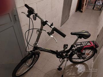 ATALA GREEN BAY- 2023