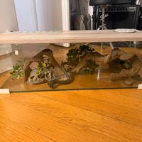 Rettilario/ teca per animali