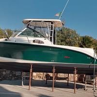 Bayliner Trophy 2502 Pro WA (SOLO SCAFO)