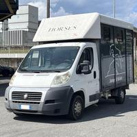 Fiat Ducato V 2006 ducato 33 MH1 2.3 mjt 120cv car