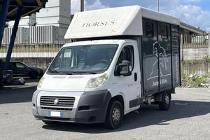 Fiat Ducato V 2006 ducato 33 MH1 2.3 mjt 120cv car