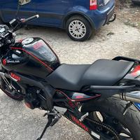 Fz6 S2