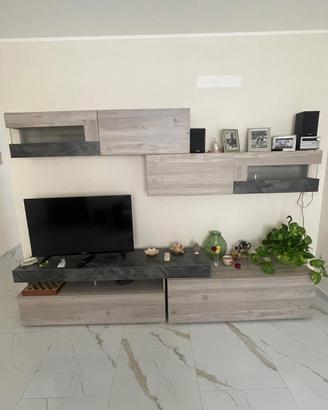 Parete Attrezzata Moderna + Divano