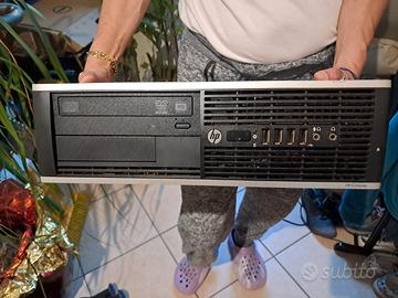 Computer HP con monitor Dell