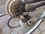 Immagine 6