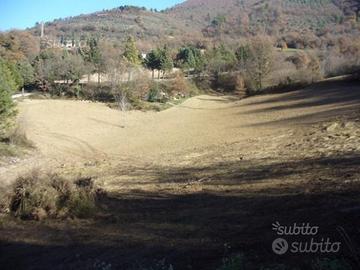 Terreno fabbricabile