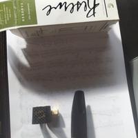 bocchino sax alto D'addario legatura Eddie Daniels