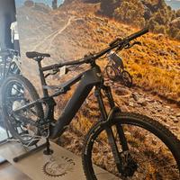 Whistle B-Rush Ca5.5 ebike
