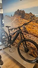 Whistle B-Rush Ca5.5 ebike