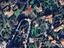 Immagine 16