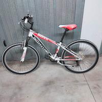 bottecchia bicicletta ragazzo 