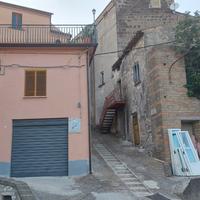 Appartamento e grandi locali rustici e cantina