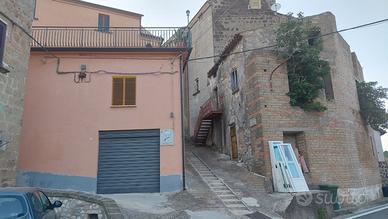 Appartamento e grandi locali rustici e cantina