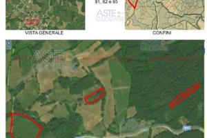 Terreno Agricolo Farini [A4288853]
