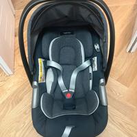 Ovetto inglesina electa