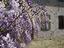 Immagine 12
