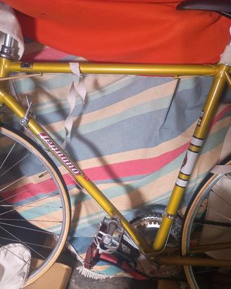 legnano gran premio 