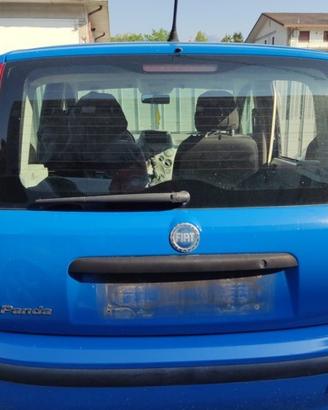 Portellone nudo FIAT PANDA del 2006