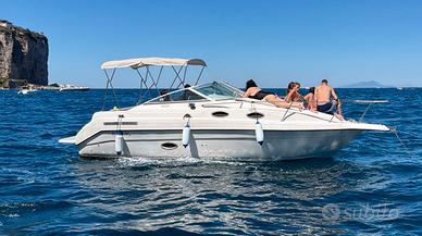 Natante 8 metri regal 258