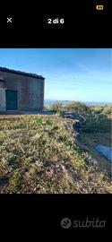Terreno rustico e fabbricabile