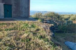 Terreno rustico e fabbricabile