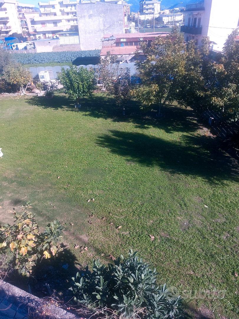Terreno 1000 mq - Vista 4