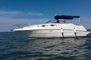 Monterey 262 cruiser