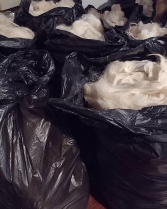 Lana di pecora per imbottitura, materassi, cuscini