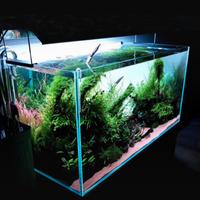 Retroilluminazione per acquario in PVC acrilic