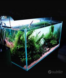 Retroilluminazione per acquario in PVC acrilic