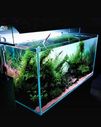 Retroilluminazione per acquario in PVC acrilic