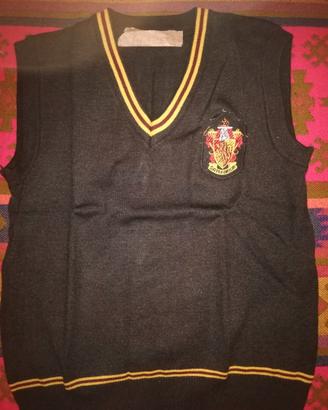 Gilet Bambino Harry Potter Casata Grifondoro