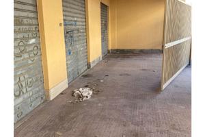 RGE 62/2021 Trib Trapani - LOTTO 10