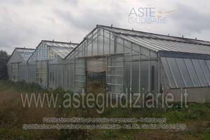 Terreno Agricolo Giba [A4326073]