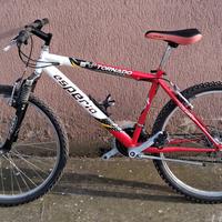 MTB ESPERIA 26" AMMORTIZZATA