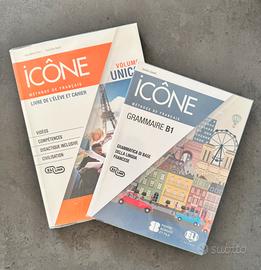 Libro ICÔNE