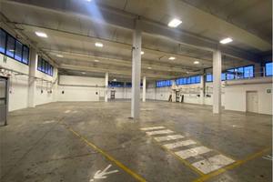 Immobile di 1180 m² con più di 5 locali a Cavriago