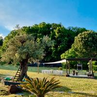 Antico palmento dell'Etna